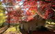 Acheron Valley Country Estate - thumb 5