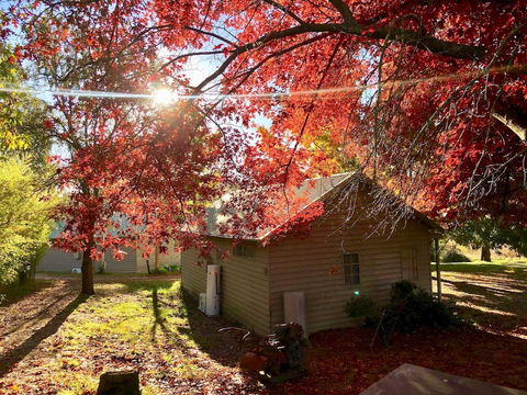 Acheron Valley Country Estate - Redcliffe Tourism 5