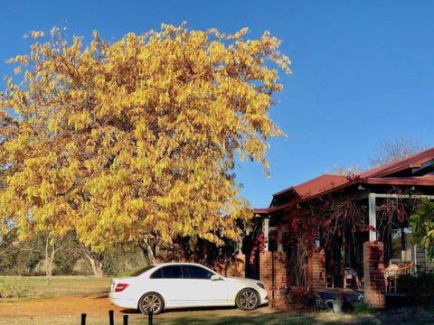 Acheron Valley Country Estate - Redcliffe Tourism 6