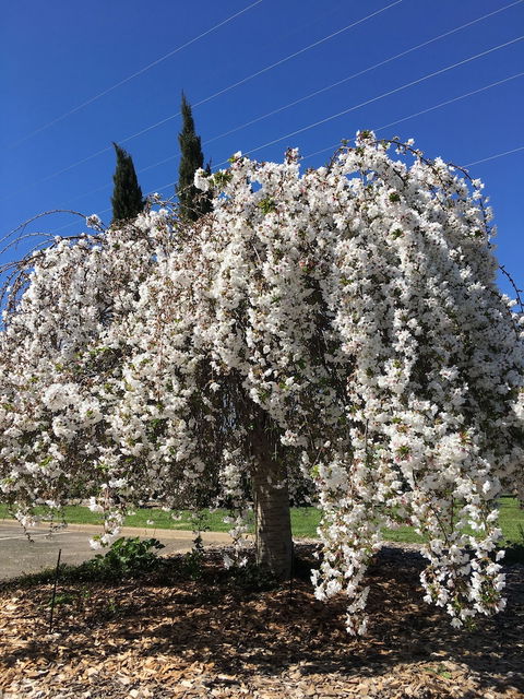 Quality Inn Carriage House - Redcliffe Tourism 3