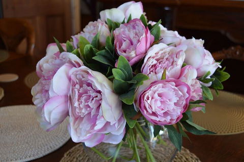 The Dragonfly Inn - Redcliffe Tourism 7