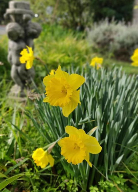 Lilacs Waterfront Villas & Cottages - Redcliffe Tourism 2