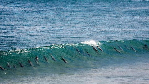 Neptune At Port Elliot - Redcliffe Tourism 2