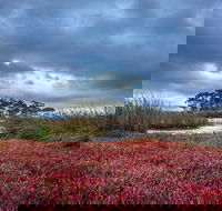 Saintys Creek Cottage - Redcliffe Tourism