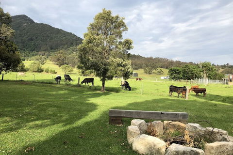 ARCADIA - The Barn Cottage & Rosehill Cottage - Redcliffe Tourism 3
