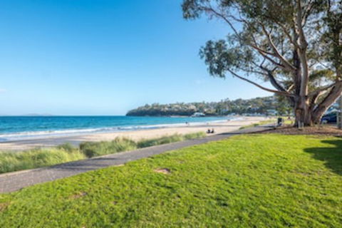 Apartment On Kingston Beach - Redcliffe Tourism 0