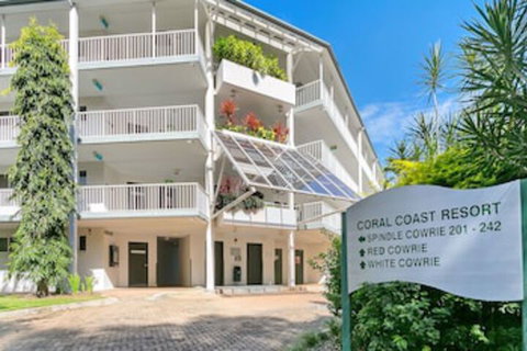 214 Spindle Cowrie - Redcliffe Tourism 0
