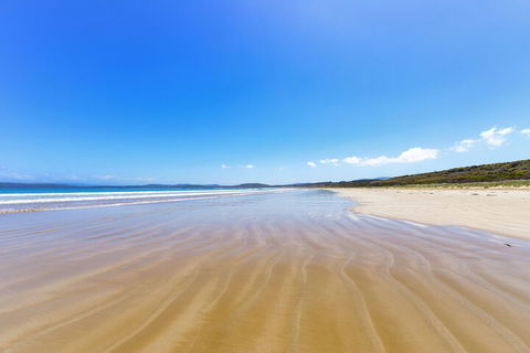 Cloudy Bay Cabin - Redcliffe Tourism 6