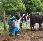 Manderley Park Farmstay B  B