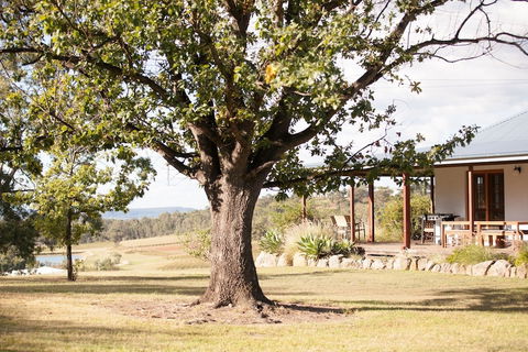 Audrey Wilkinson Vineyard - Redcliffe Tourism 2
