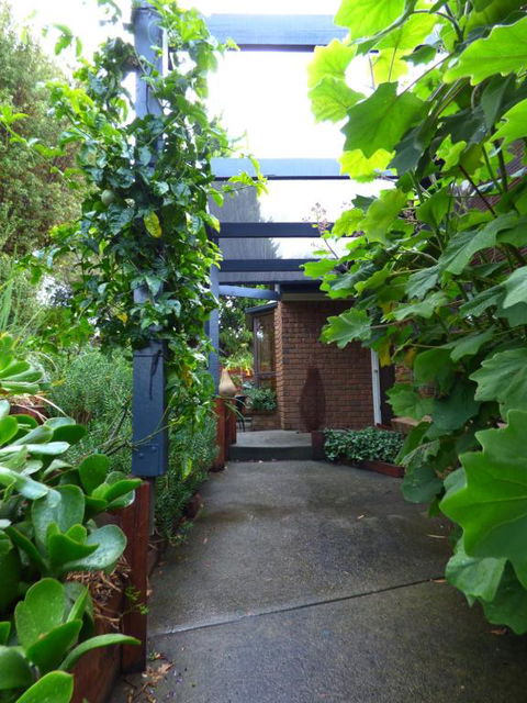 A Suite Spot In The Hills - Redcliffe Tourism 5