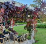 The Cottage - Redcliffe Tourism