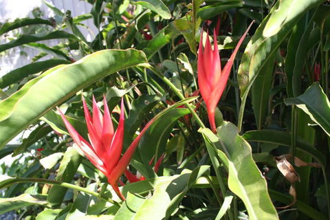 Scarborough Beach Break Holidays - Redcliffe Tourism 2