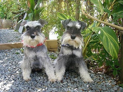Scarborough Beach Break Holidays - Redcliffe Tourism 1