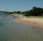 Black Dolphin Waterfront Apartment - Redcliffe Tourism