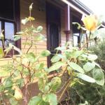 Albion Cottage - Redcliffe Tourism 0