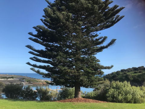 Penneshaw Oceanview Apartments - Redcliffe Tourism 5