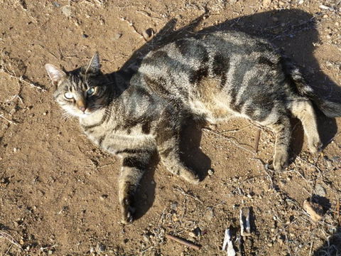 Woodvale At Cooma - Redcliffe Tourism 5