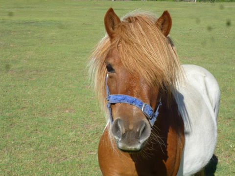 Woodvale At Cooma - Redcliffe Tourism 6