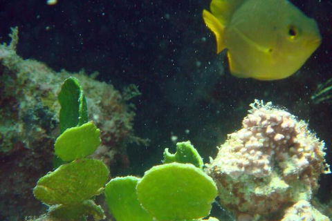 Gnaraloo Station - Redcliffe Tourism 5