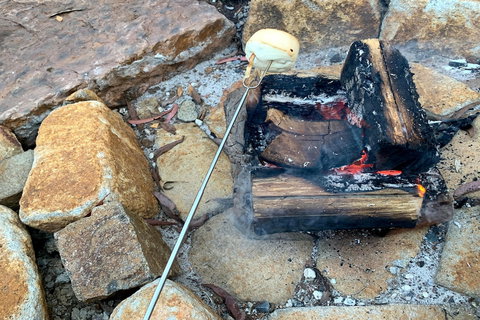 Forest Edge Cottage At Merrow Cottages - Redcliffe Tourism 4