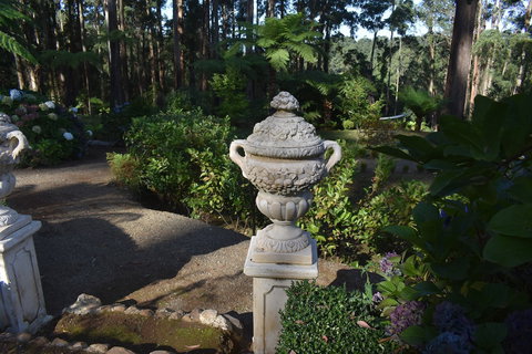 Forest Edge Cottage At Merrow Cottages - Redcliffe Tourism 2