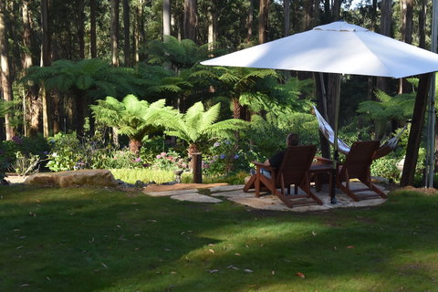 Forest Edge Cottage At Merrow Cottages - Redcliffe Tourism 5