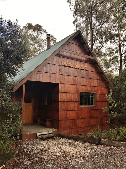 Cradle Mountain Highlanders Cottages - Redcliffe Tourism 4
