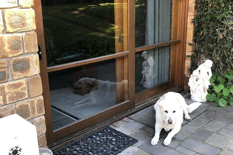 Farmhouse Flat Pet Friendly - Redcliffe Tourism 7