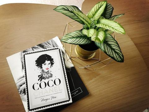 ILK Apartments South Yarra - Redcliffe Tourism 2