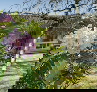 Wentworth Rose - Redcliffe Tourism