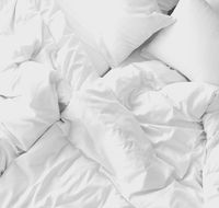 Bohemian Chic 2 Bed Bondi Beach Apartment