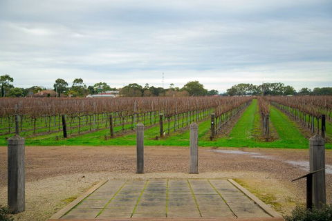 Yalumba Menzies Retreat - Redcliffe Tourism 4
