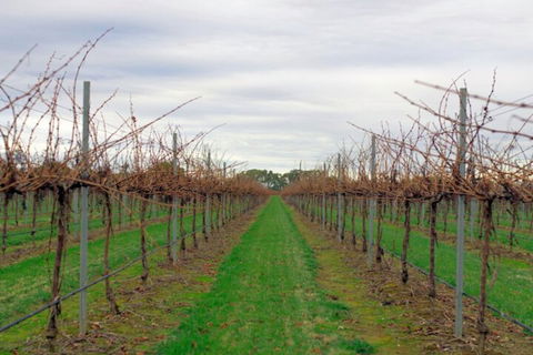 Yalumba Menzies Retreat - Redcliffe Tourism 5