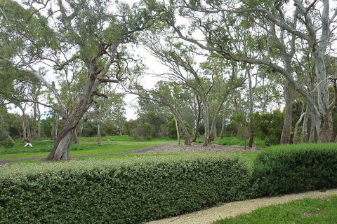 Yalumba Menzies Retreat - Redcliffe Tourism 2