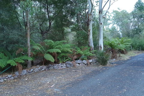 Roland B&B - Redcliffe Tourism 4