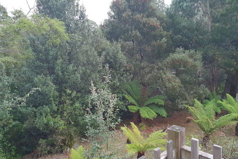 Roland B&B - Redcliffe Tourism 1