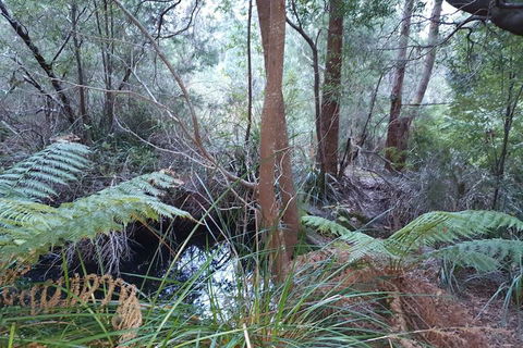 Roland B&B - Redcliffe Tourism 5