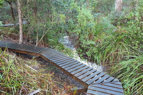 Roland B&B - Redcliffe Tourism 6