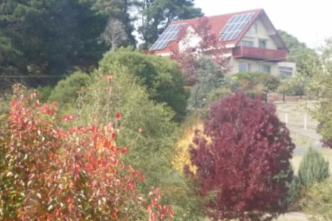 Abelia BIG SPA NO 1 Cottage - Redcliffe Tourism 2