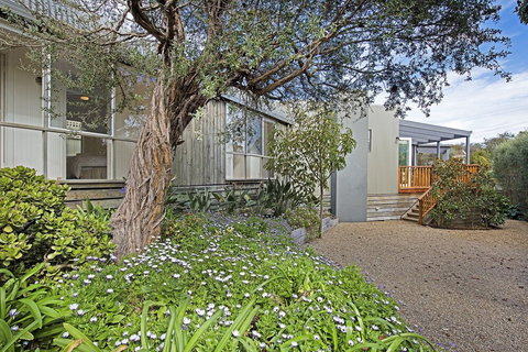 Beach Pearl - Redcliffe Tourism 0