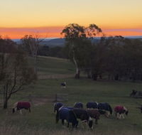 High Country Trail Rides  Farm Stay - Redcliffe Tourism