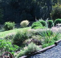 Love Grove Guest House - Redcliffe Tourism