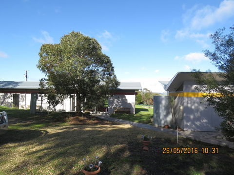Lush Pastures - Redcliffe Tourism 0