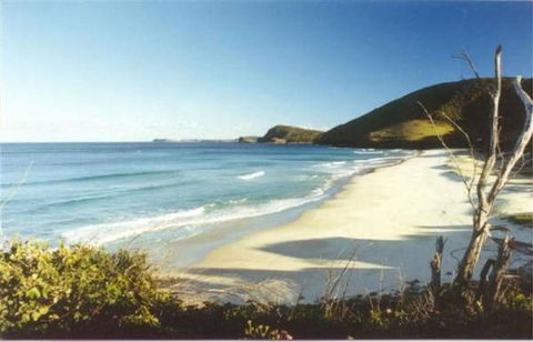 ILUKA - Redcliffe Tourism 4