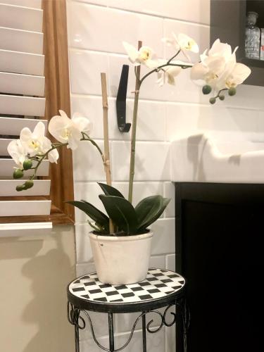 SEAeSCAPE Apollo Bay - Redcliffe Tourism 4