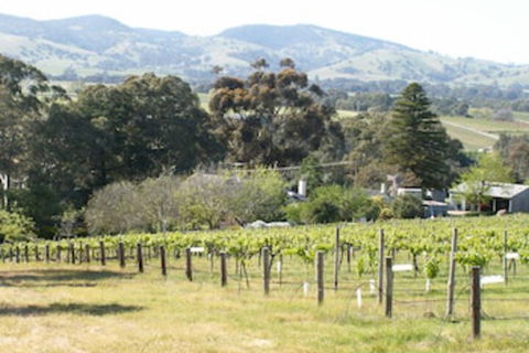 Archery Road Estate - Redcliffe Tourism 0