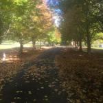 A Peaceful Cabin In The Country - Redcliffe Tourism 0