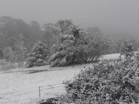 Springmead Rustic Cabin - Redcliffe Tourism 6