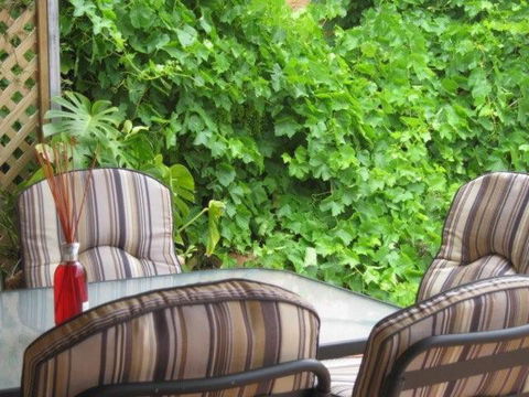 Amalie Cottage Waikerie Unit 1 - Redcliffe Tourism 6
